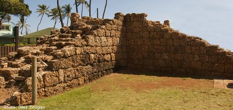 Stone wall remains on Kauai