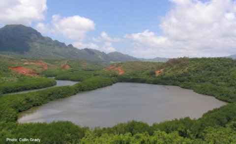 Menehune fish pond on Kauai